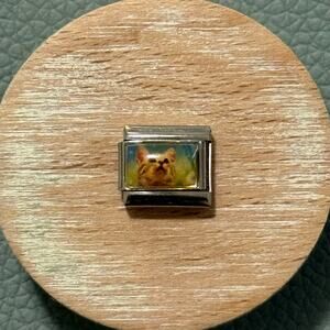 Orange Cat Italian Charm Bracelet Link